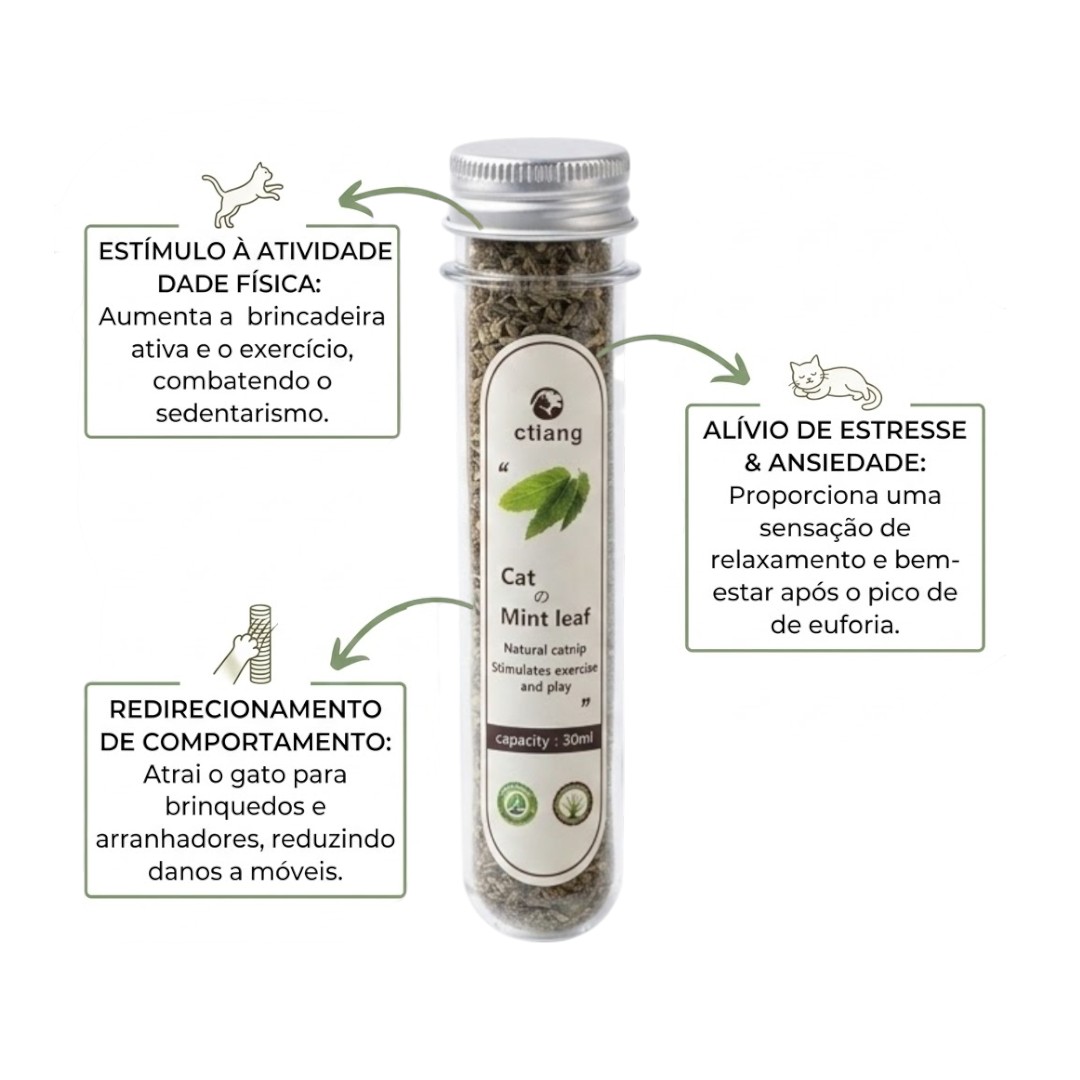 Catnip em Pó 30g Grande Erva de Gatos Natural Estimulante Anti Stress