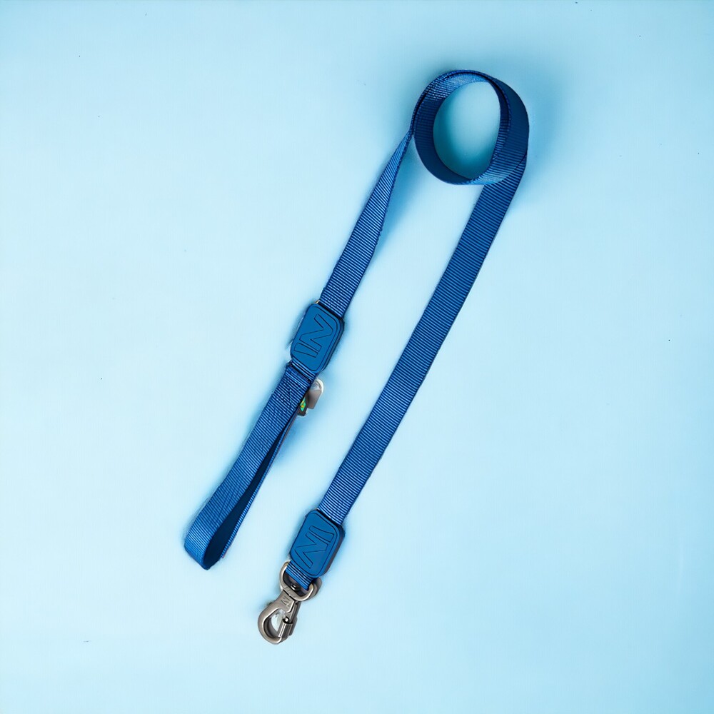 Peitoral em X e Guia para Cães Raios e Listras Azul - G