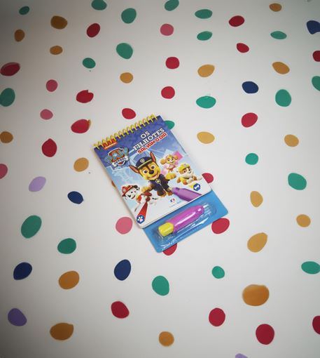 Livro Aquabook Patrulha Canina - Os Filhotes Salvam o Dia
