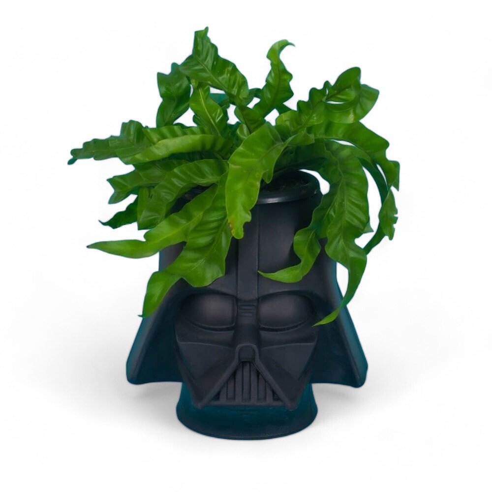 Cachepot Darth Vader Star Wars