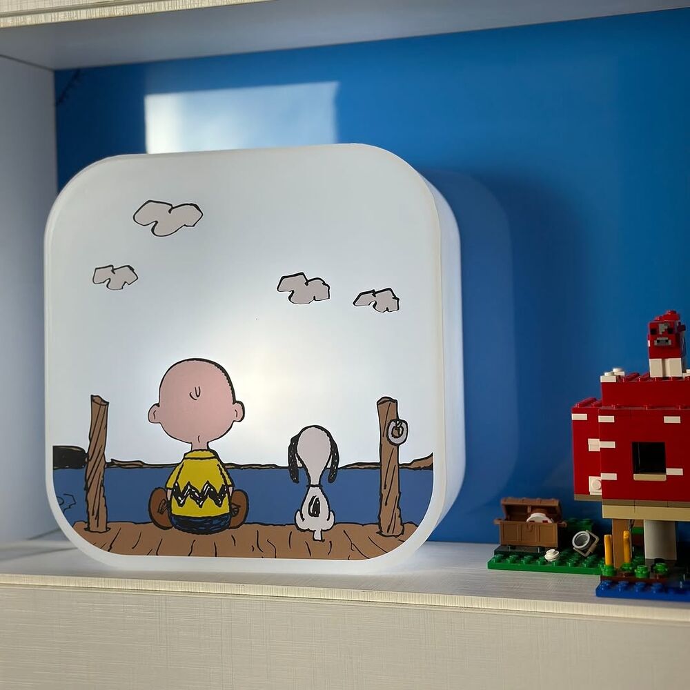 Luminária Box Snoopy and Charlie Brown