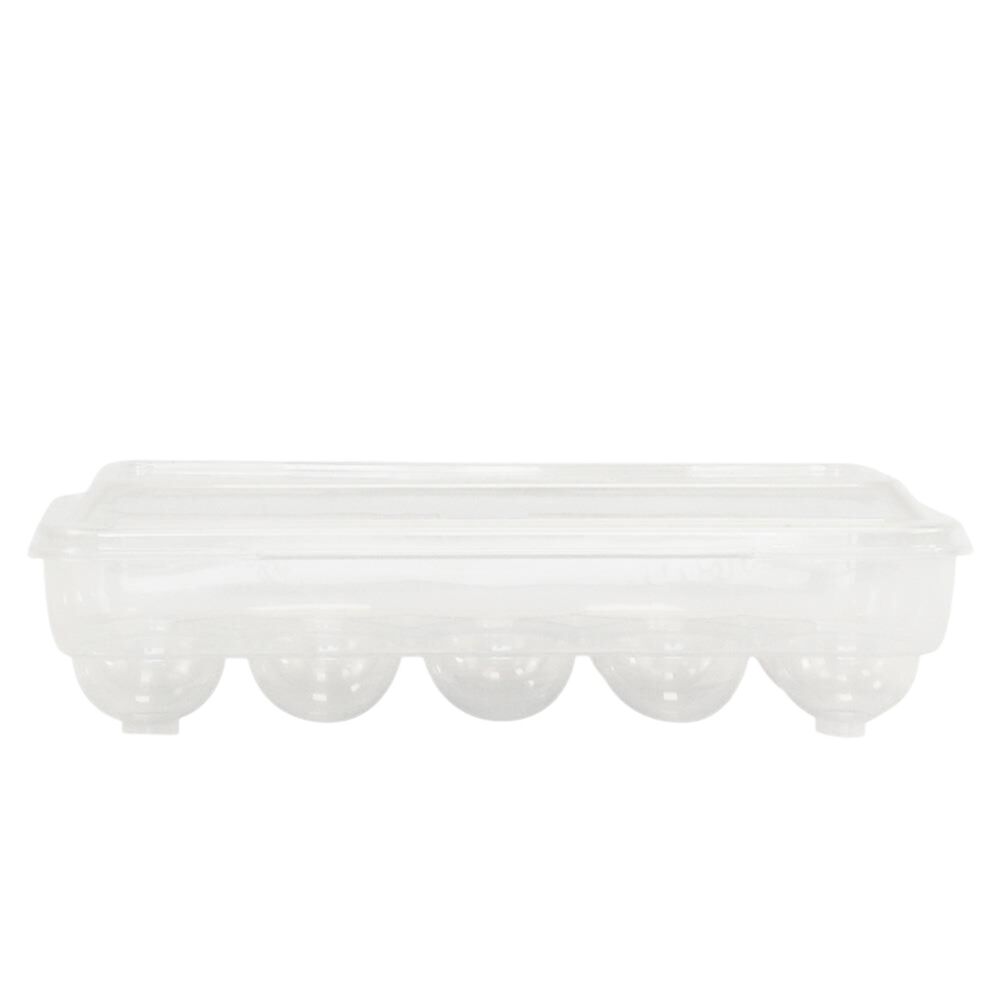 Organizador para Ovos de Plástico com Tampa para 10 Ovos Geladeira