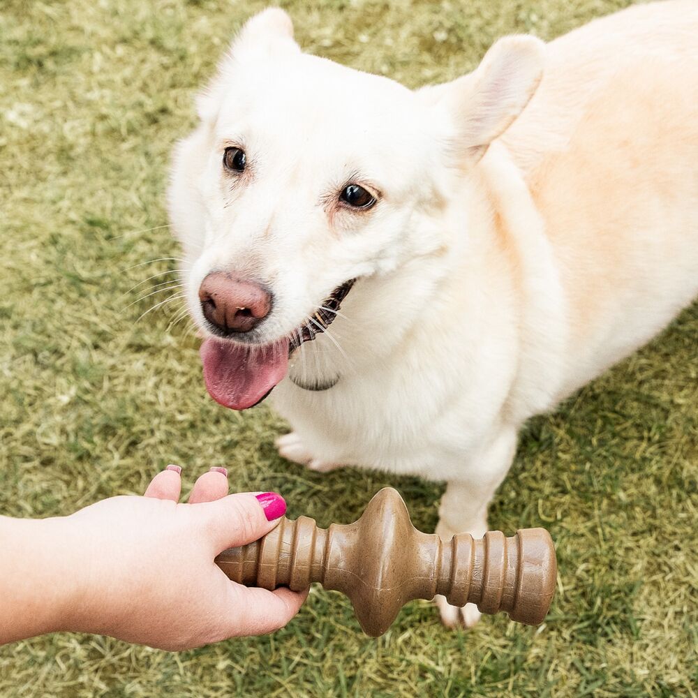 Mordedor RevoluCÃO Germanhart com Aromatizante de Churrasco para Cães