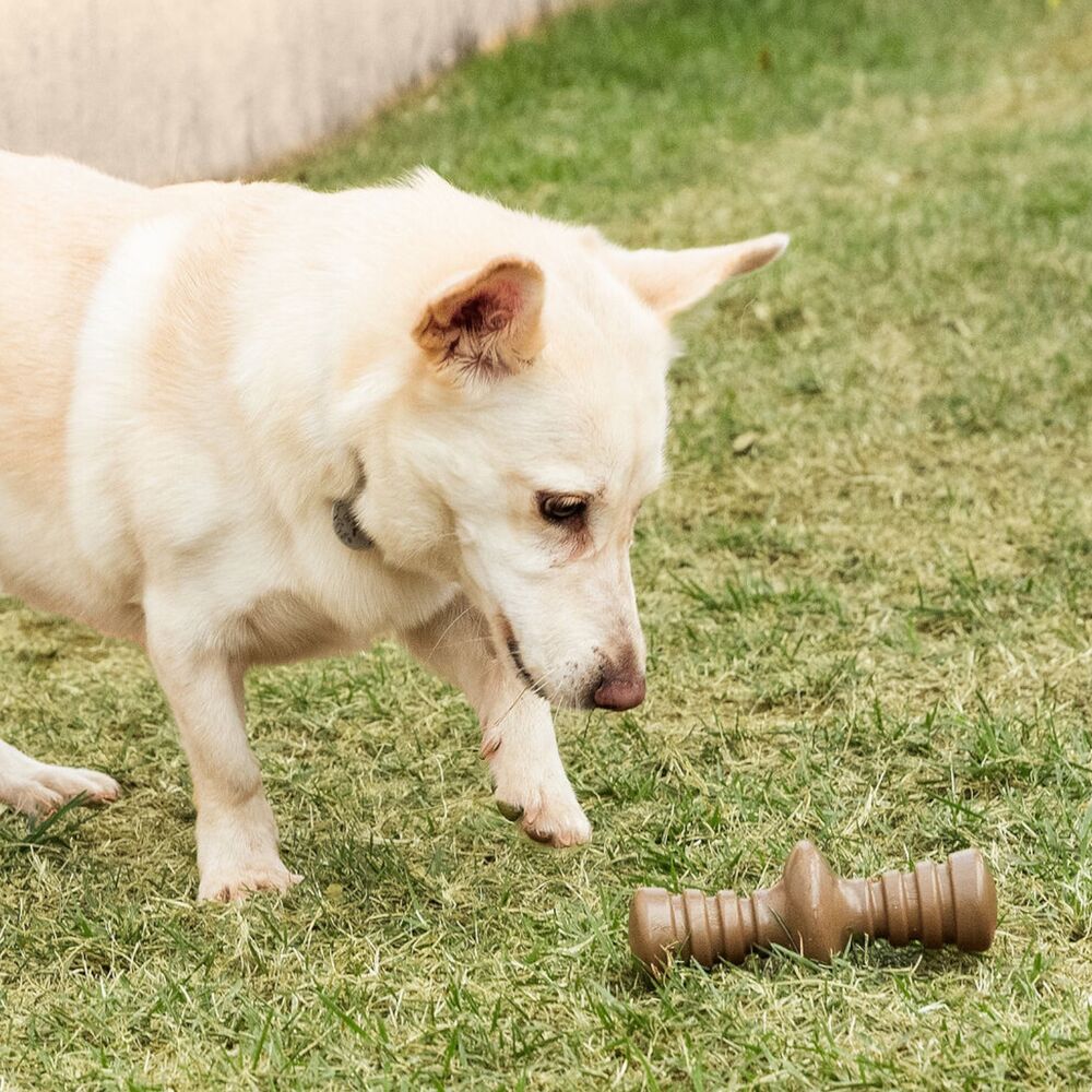 Mordedor RevoluCÃO Germanhart com Aromatizante de Churrasco para Cães