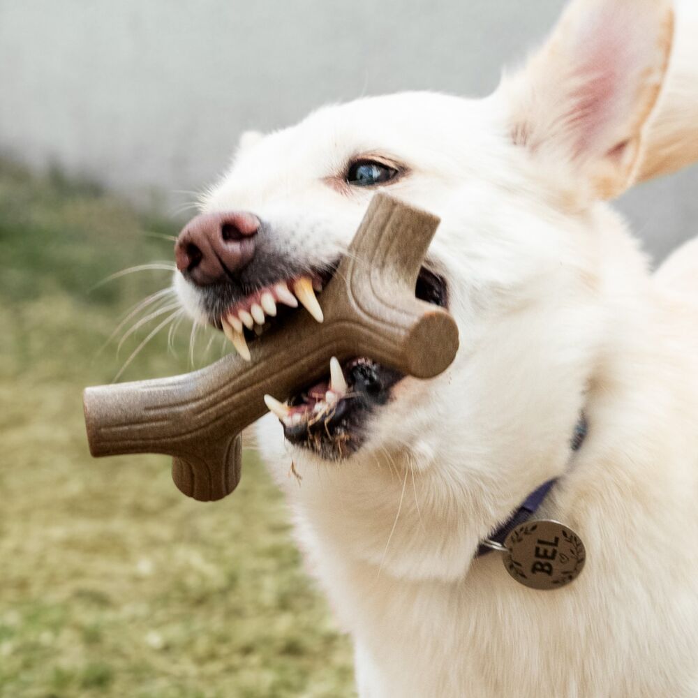 Mordedor Grauveto Galho com Aromatizante de Carne para Cães - Germanhart