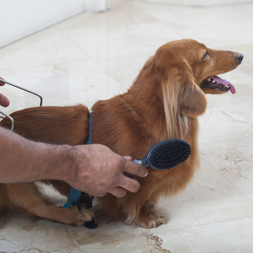 Escova Dupla Germanhart M Gel para Animais - Remoção de Nós e Emaranhados