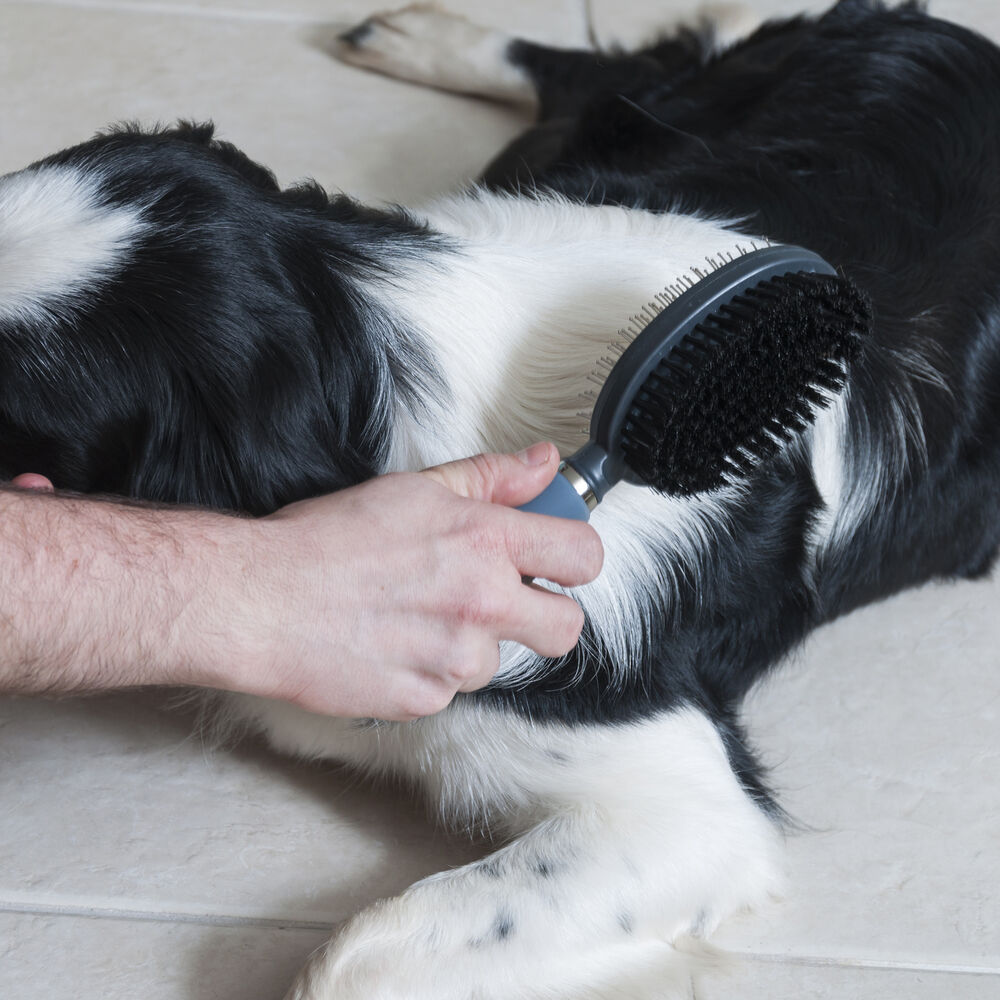 Escova Dupla Germanhart M Gel para Animais - Remoção de Nós e Emaranhados