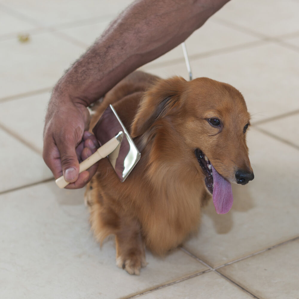 Rasqueadeira de Madeira GG para Cães e Gatos - Remoção de Pelos e Nós