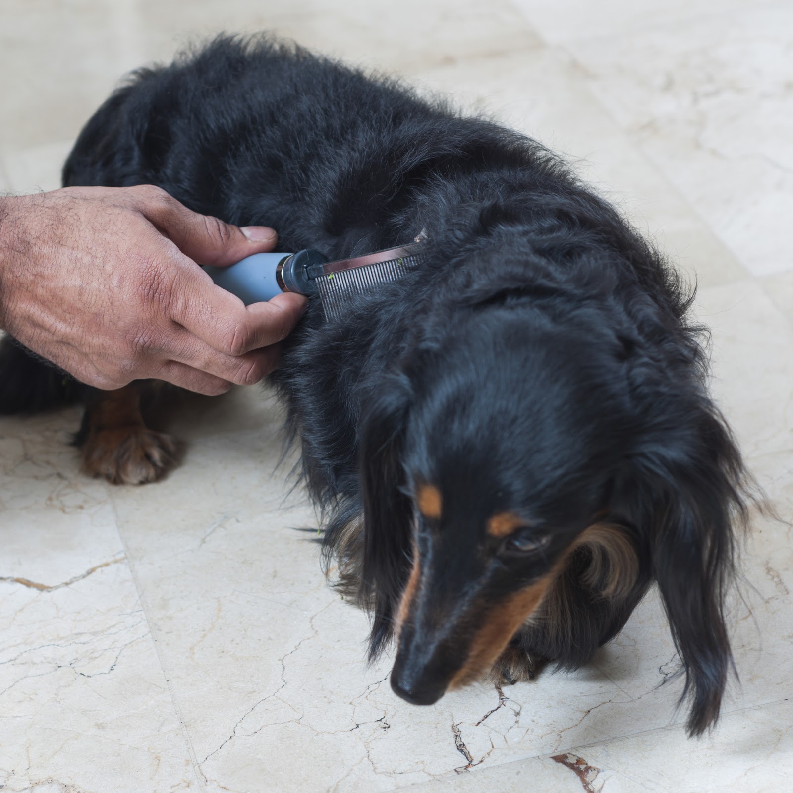 Pente Fino Cabo Gel para Pelos Pet 40 Dentes - Germanhart