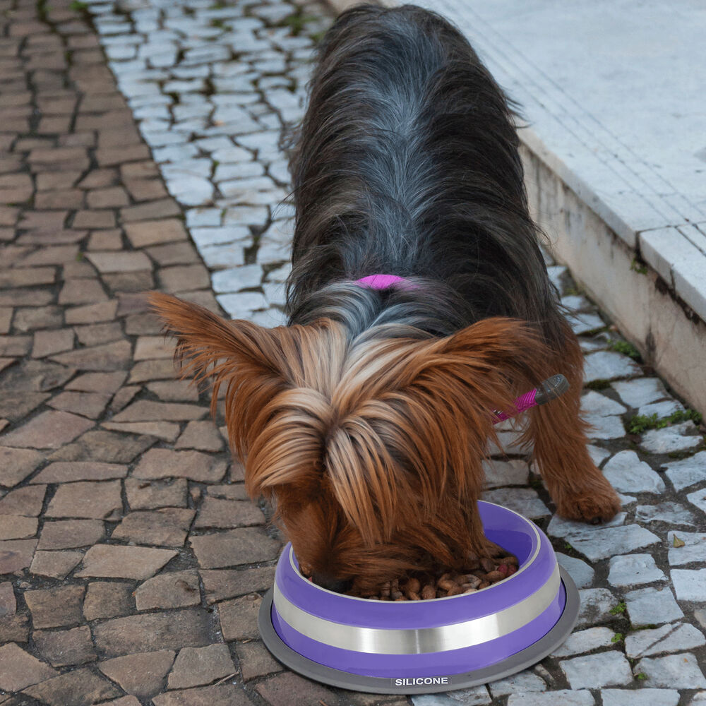 Comedouro Inox Prestige Roxo 210ml - Antiderrapante e Durável