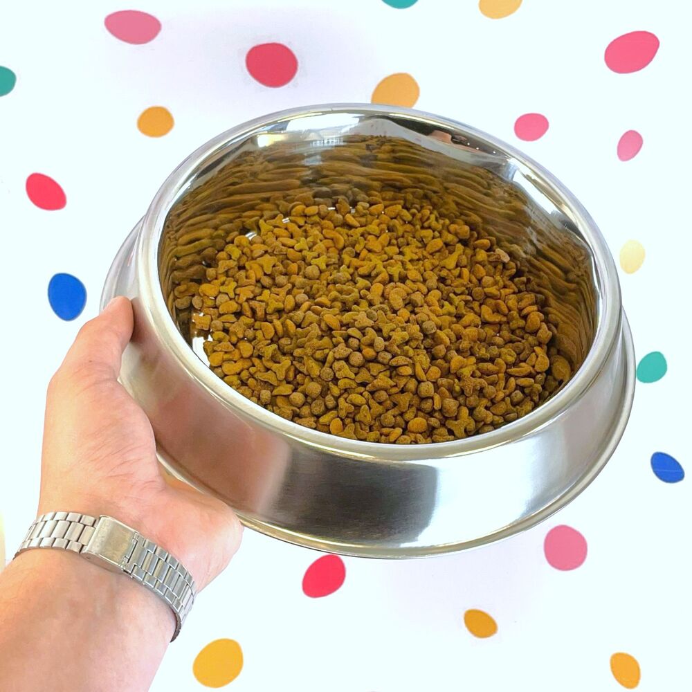 Kit 2 Comedouros Inox Antiformiga 1350ml para Pets - Germanhart